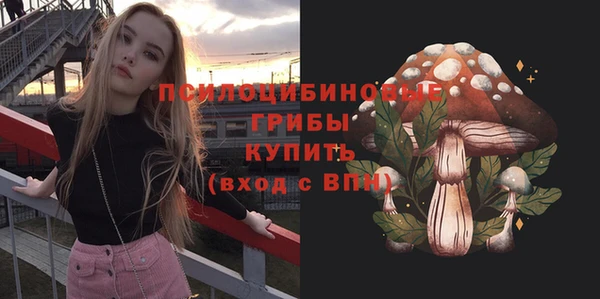 прущая мука Армянск
