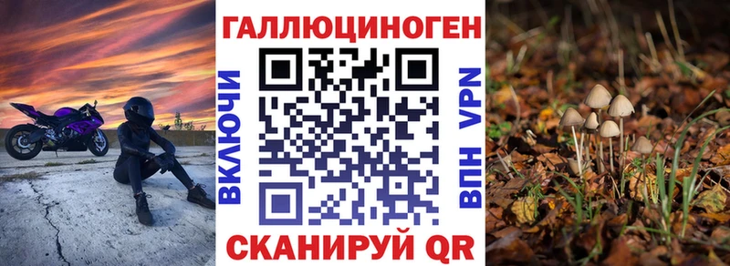 Галлюциногенные грибы мицелий  Купить где  Знаменск 